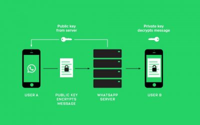 Cosa cambia con l’arrivo delle API di WhatsApp Business