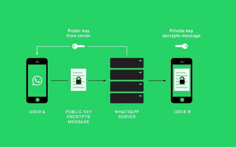 Cosa cambia con l’arrivo delle API di WhatsApp Business