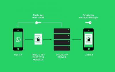 What changes with the release of the WhatsApp Business API