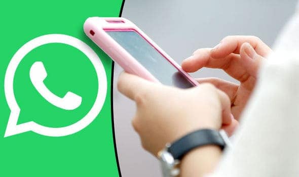 Plugin gratuiti per aggiungere WhatsApp