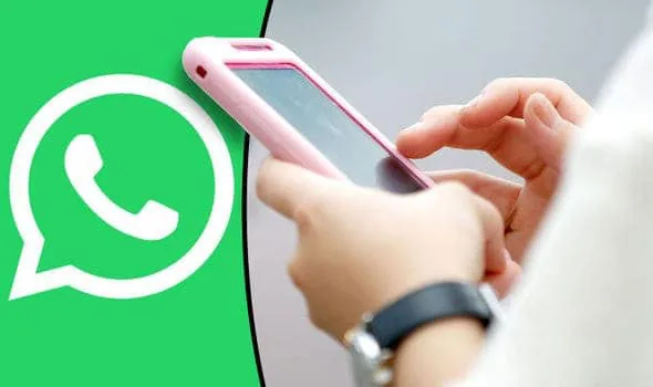 Melhor plugin whatsapp para o site