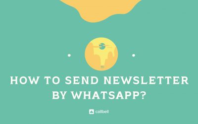 Como enviar newsletter pelo WhatsApp?