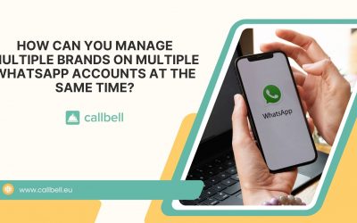 Come gestire più brand su diversi account WhatsApp contemporaneamente?